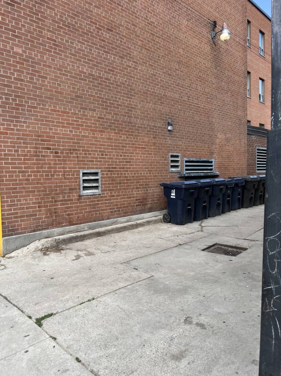 Garbage and recycling bins in the alley