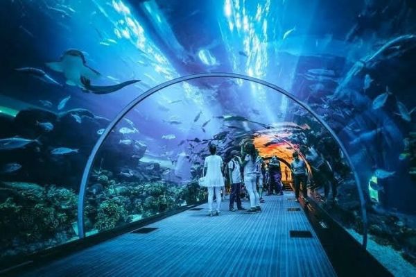 Ripley’s Aquarium of Canada